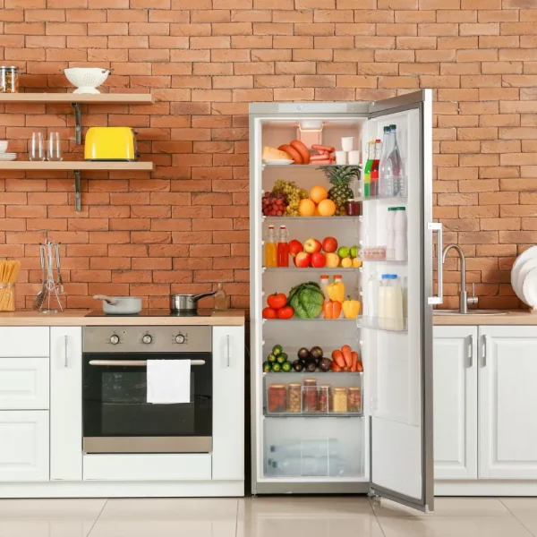 open-big-fridge-with-products-interior-kitchen