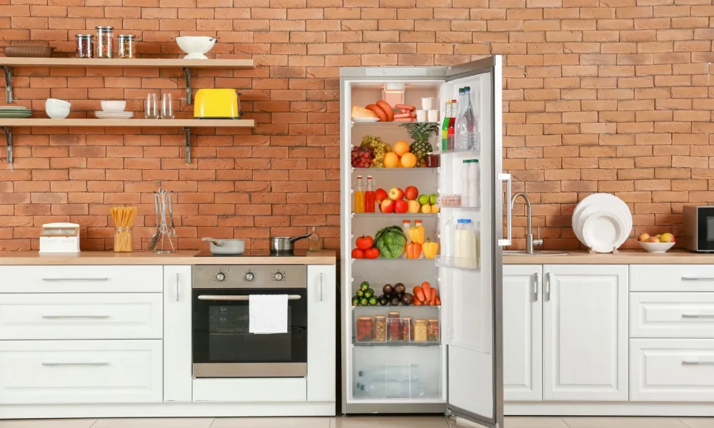 open-big-fridge-with-products-interior-kitchen